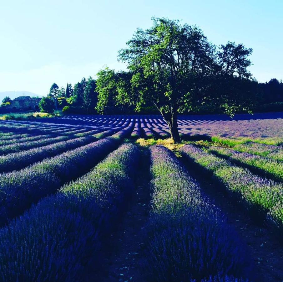 Entre Ventoux Et Luberon Chambre D'Hote Sault-de-Vaucluse Bagian luar foto