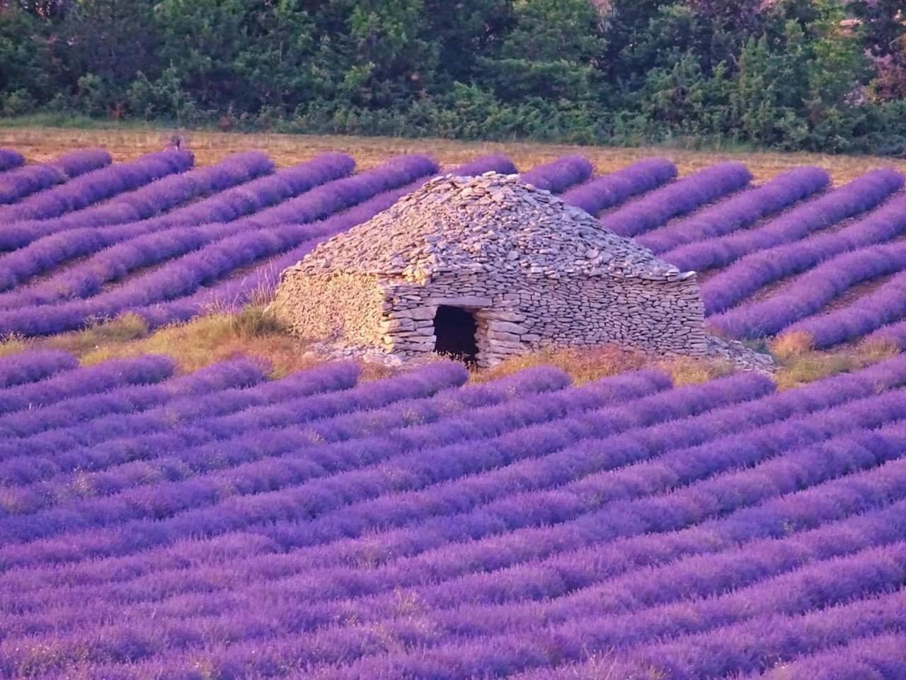 Entre Ventoux Et Luberon Chambre D'Hote Sault-de-Vaucluse Bagian luar foto